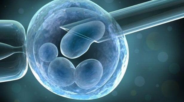 El trasplante de células madre puede representar un gran desafío para tu cuerpo