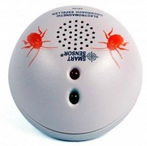 Eliminar la cucaracha oriental con la ayuda de un repelente ultrasónico