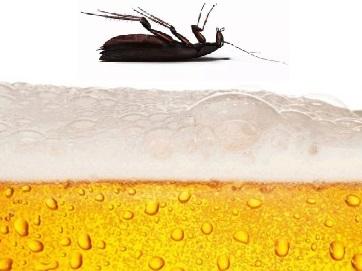 La trampa se coloca en sitios donde la cucaracha oriental frecuenta