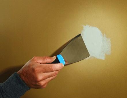 La cucaracha de banda marrón crece en grietas