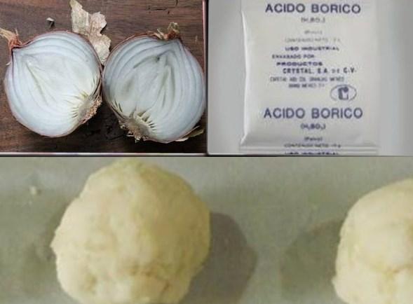 exterminador de cucaracha de banda marrón