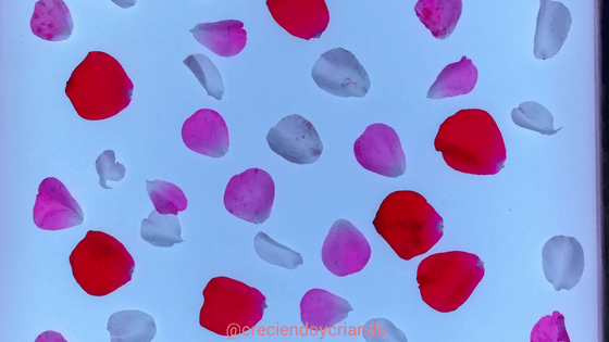 petalos y espejos mesa de luz3