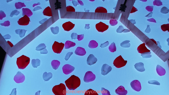 petalos y espejos mesa de luz3