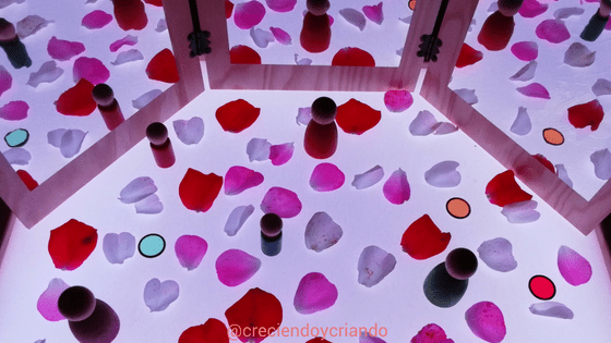 petalos y espejos mesa de luz3