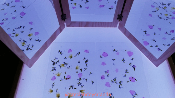 petalos y espejos mesa de luz3