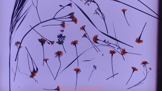 juego flores mesa luz