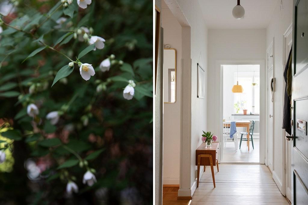 Between floral and geometric patterns 11