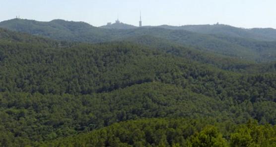 collserola