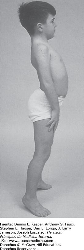 harrison_ch462e_fig-462-05