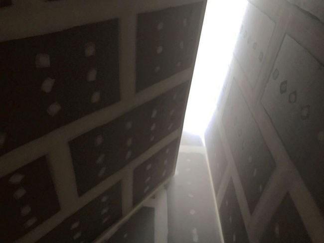 consejos para una reforma integral