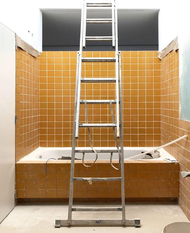 consejos para una reforma integral