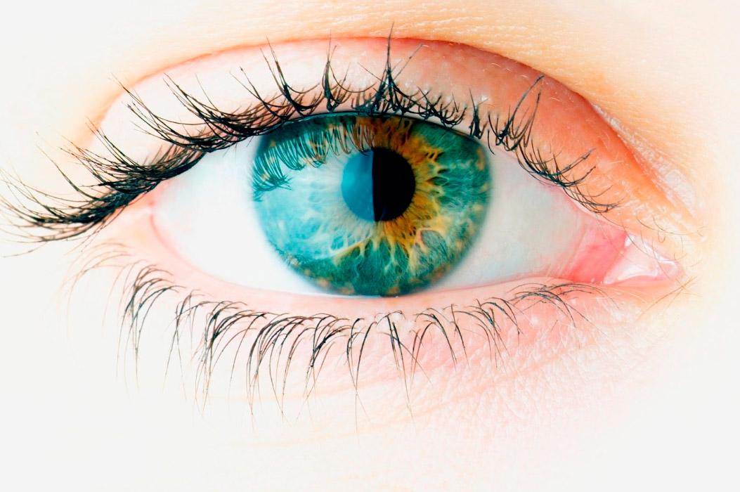 Cosméticos que no te pueden faltar tras volver de vacaciones contorno de ojos