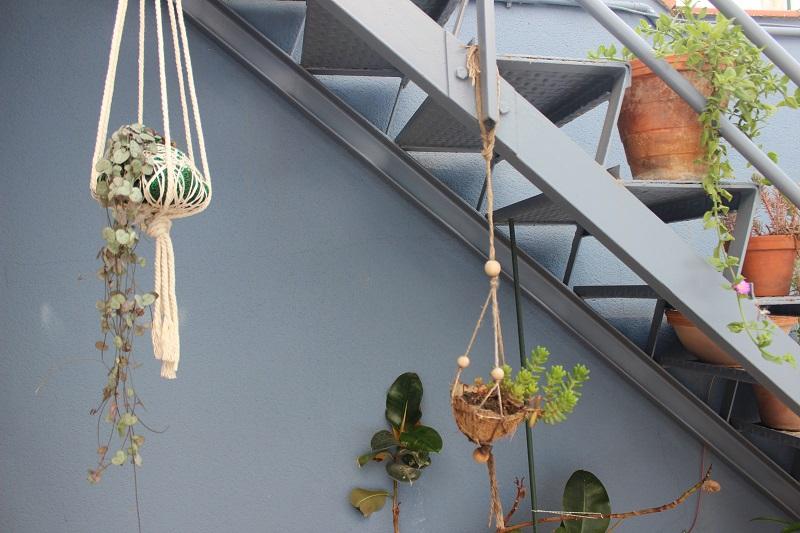 manualidades con plantas