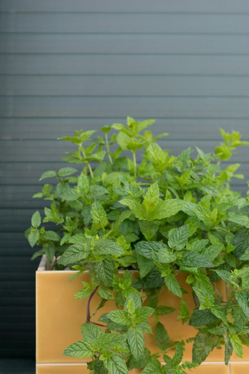 Macetas originales de cerámica - Porcelanosa