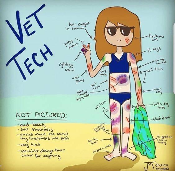 Foto 20-8-18 16 12 58.jpg