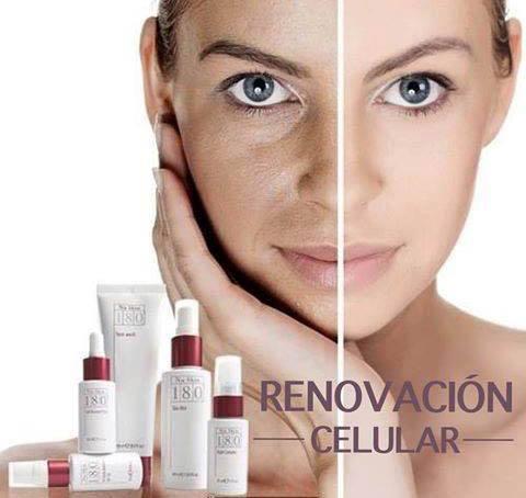 24232041_1650635791655785_2435226441007542711_n