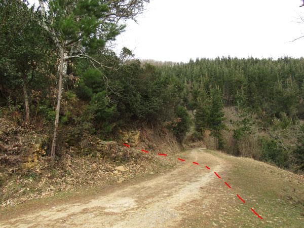 Seguimos siempre hacia arriba