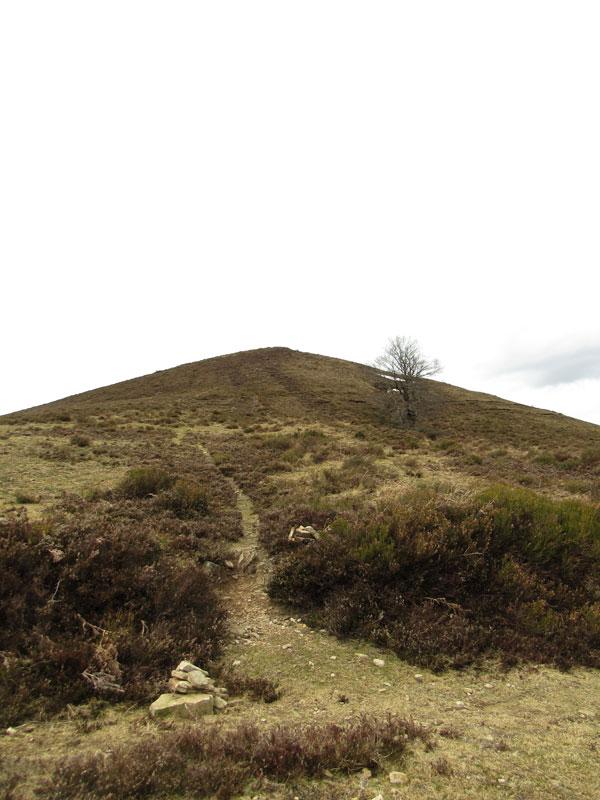 Bueno, ya queda poco