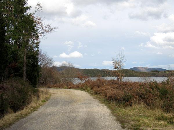 Ya queda poco. Ahora a disfrutar del pantano.