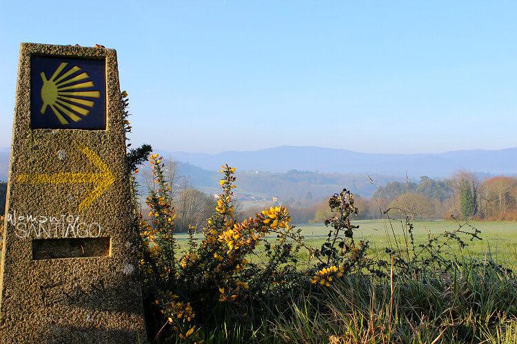 Señal Camino de Santiago