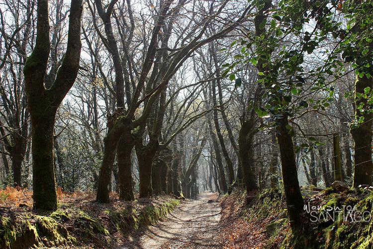 Sendero en el camino