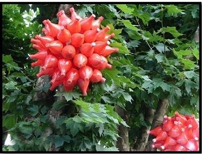 manualidades-navidenas-paso-a-paso