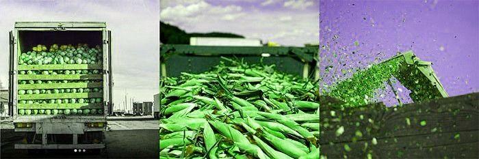 Agregar una imagen con canva