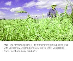 agregar video a canva