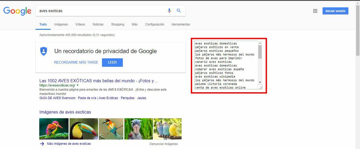 Extract People also search phrases in Google