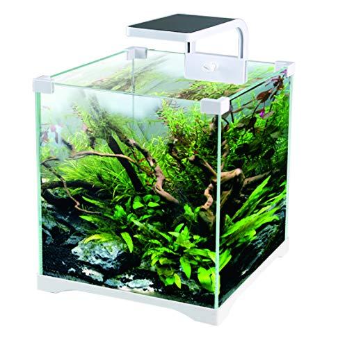 Buen diseño a precio razonable