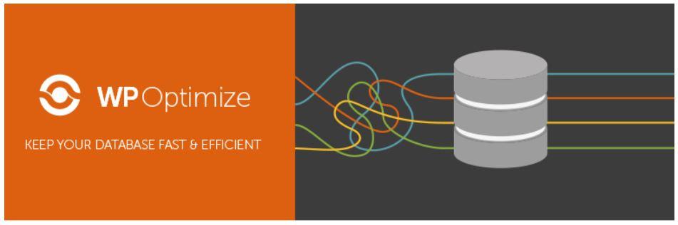 limpieza de la base de datos de wordpress mantenimiento