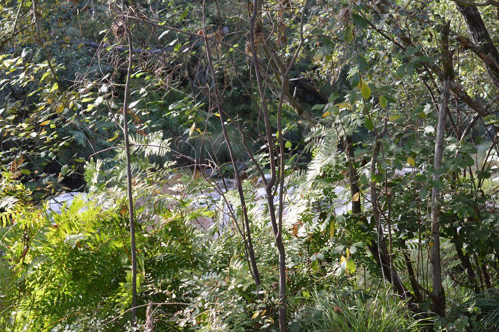 pantalón-cuadros-outfit-luz-tiene-blog (14)