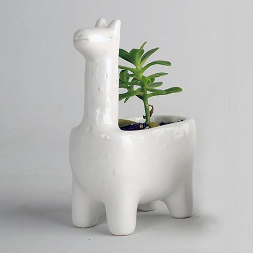 FLOWER VASES THAT BREAK SCHEMES 05