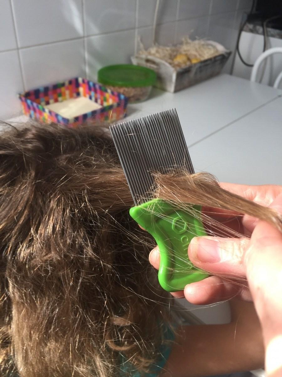 CÓMO ELIMINAR LOS PIOJOS DE UNA MANERA DEFINITIVA Foto de %title