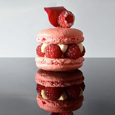 Gastronomy-Stohrer-Featured