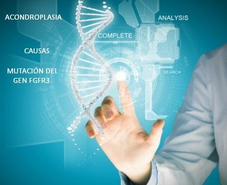 La acondroplasia es causada por una mutación