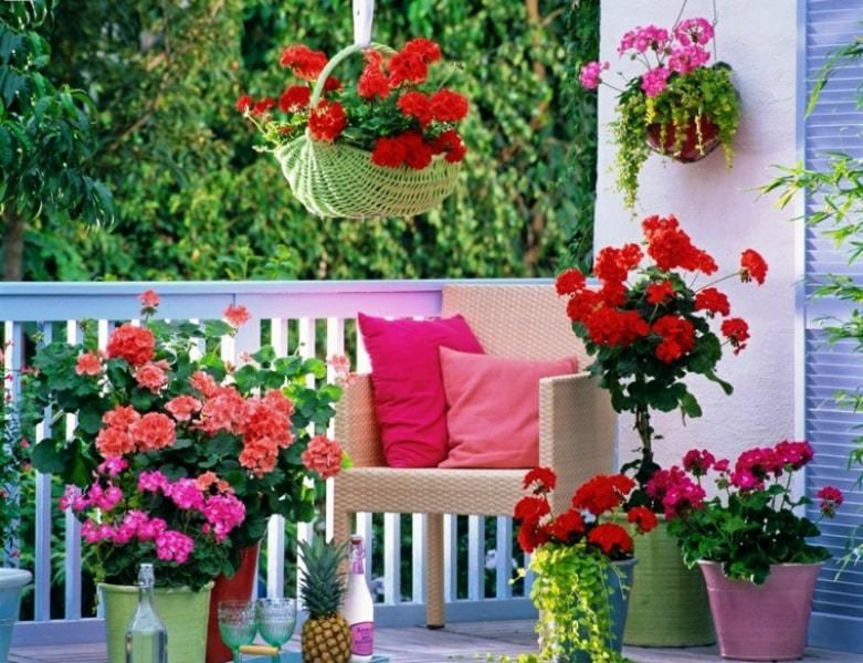 Cómo adornar una terraza con plantas Plantas