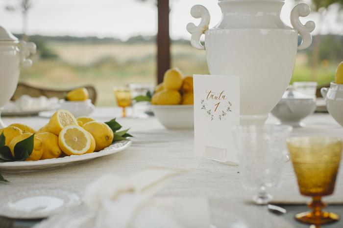 bugambilia lemon unicsevents boda amigas