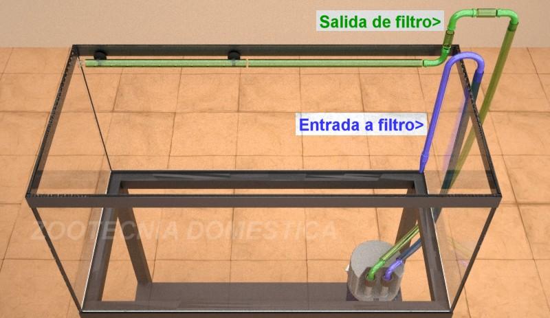 acuario plantado, colocación del filtro dentro del acuario