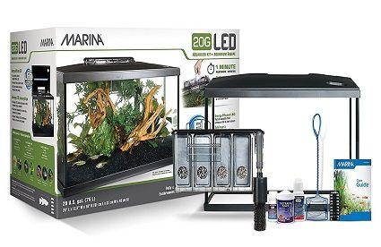 kit marina 75 litros. acuario plantado