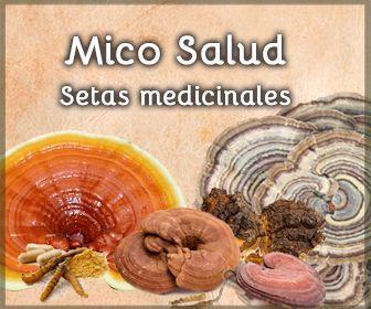 336×280 micosalud