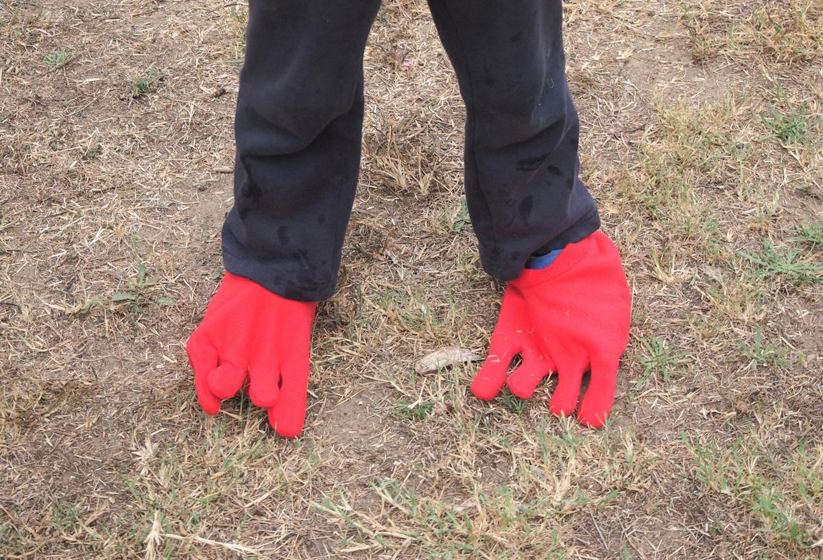 Disfraz pies de gallina