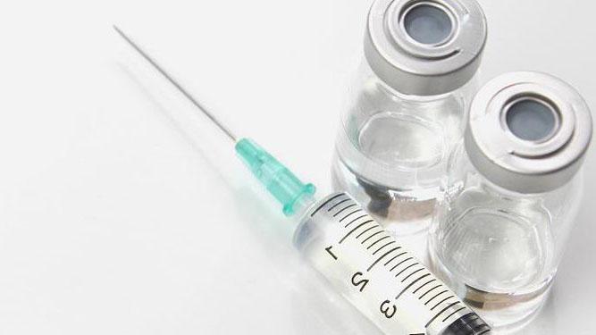 vacunacion enfermedades gato bengali