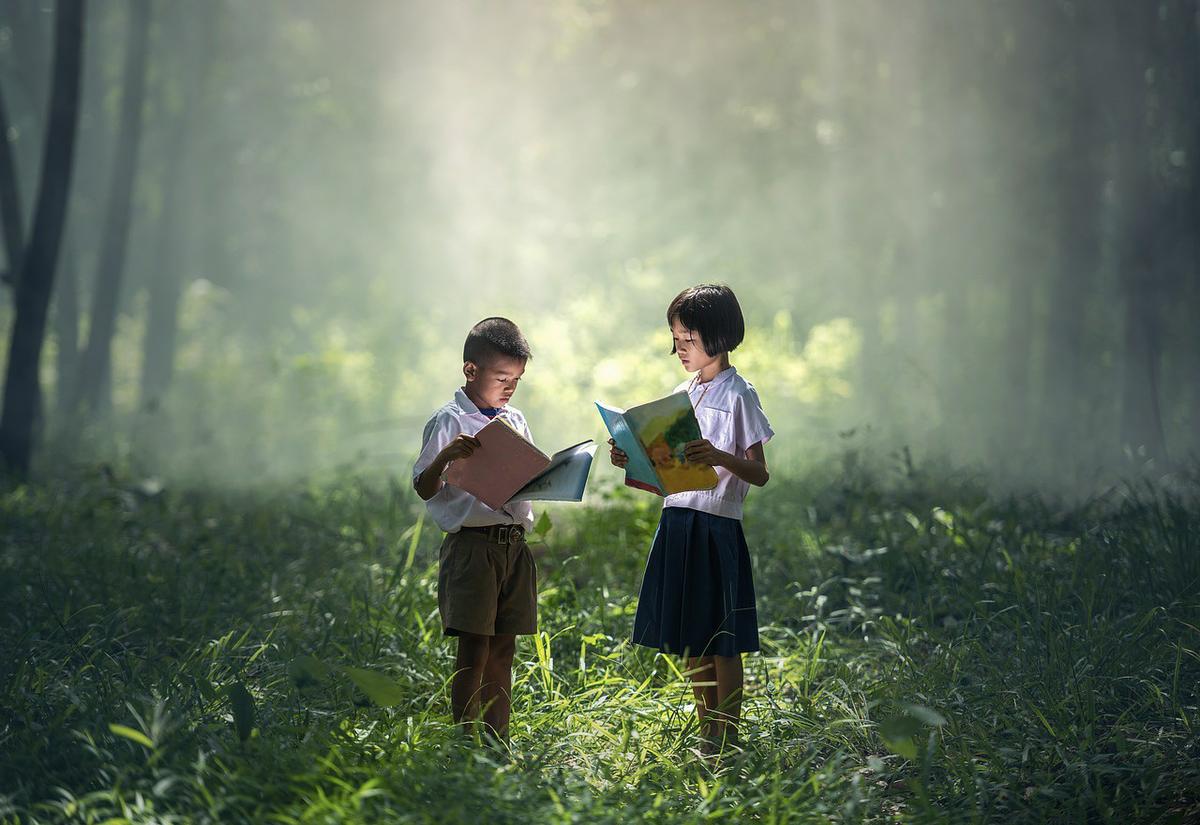 Niños leyendo libros en el campo