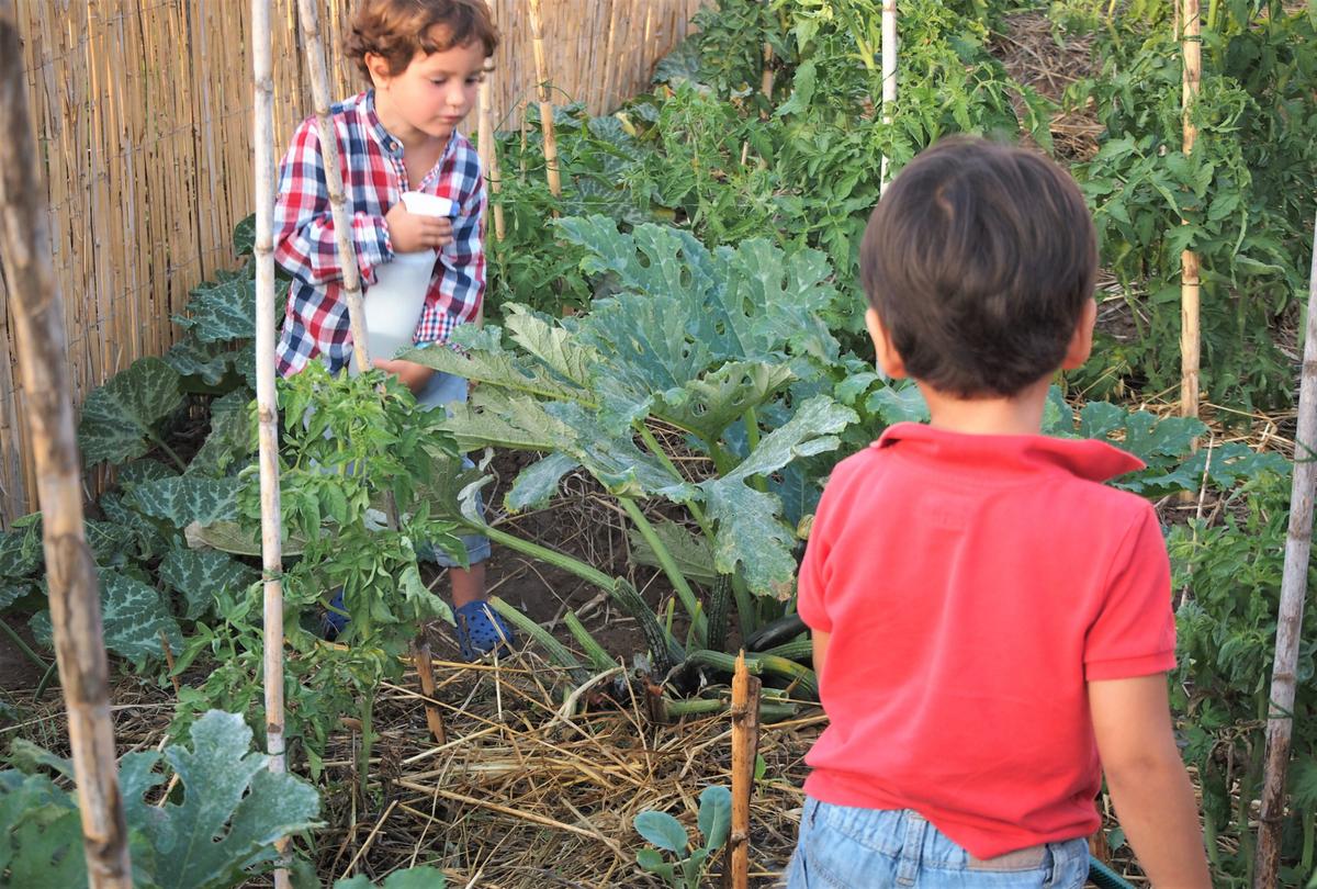 Niños cuidando el huerto