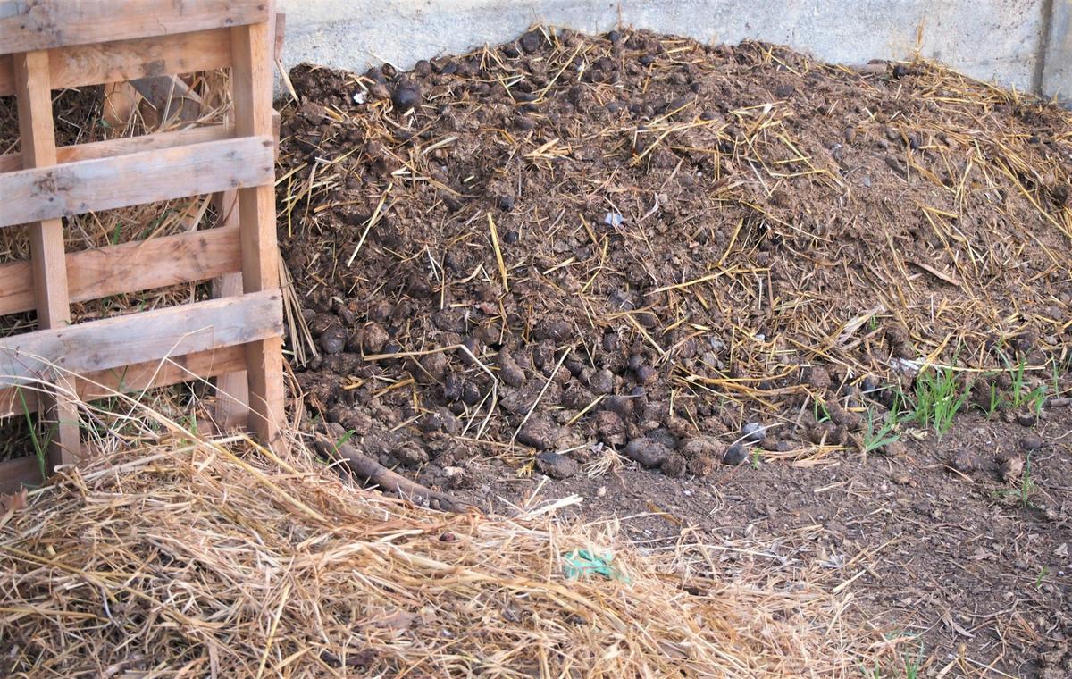 Pila de compost en su mayoria estiercol de caballo
