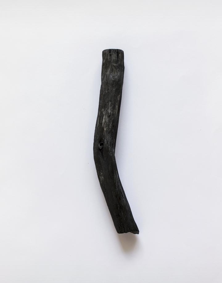 Palo bochotan que es como un palo quemado