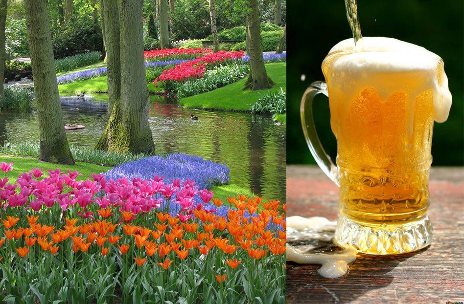 Cruceros para foodies: crucero de cerveza en amsterdam