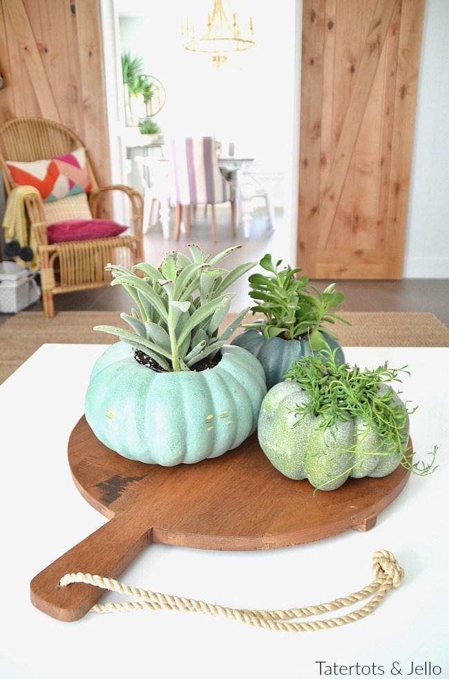 Calabazas de Halloween - calabazas convertidas en macetas para plantas
