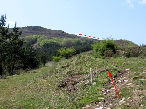 Ya nos acercamos a Burgueño